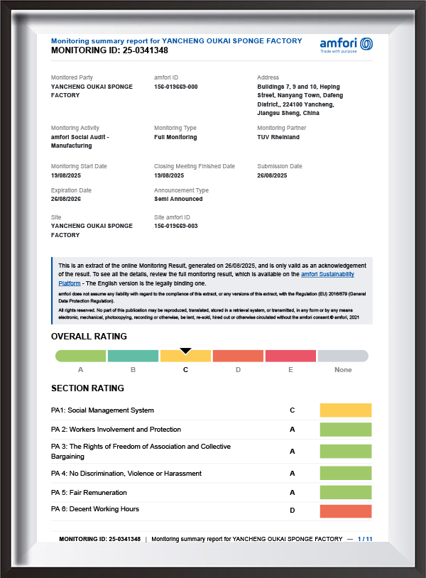 BSCI Report